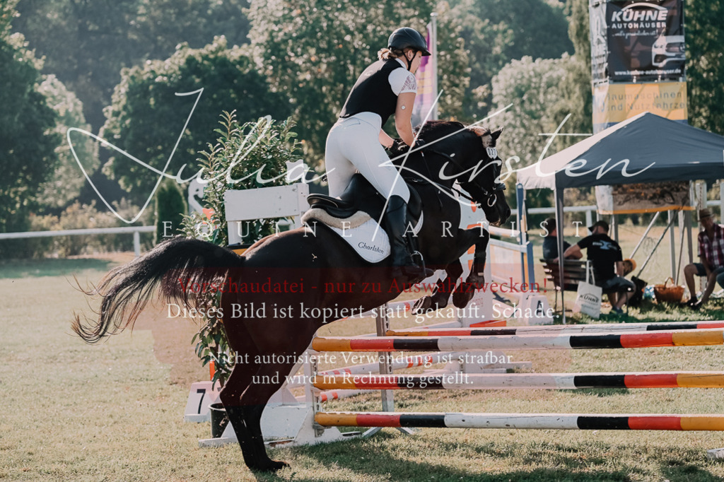 DSC_4518 | Pferde- und Turnierfotografie in Westsachsen. Pferdeportraits, Auftragszeichnungen und intuitive Kunst.