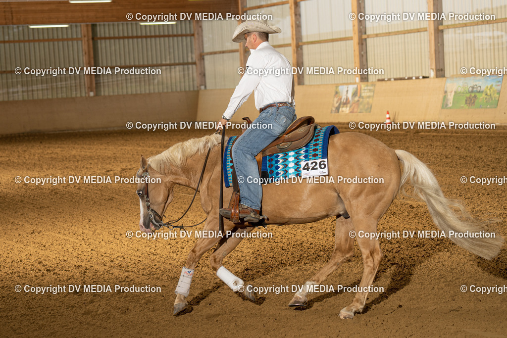 LAU01314 | dv-media-shop - Realisiert mit Pictrs.com