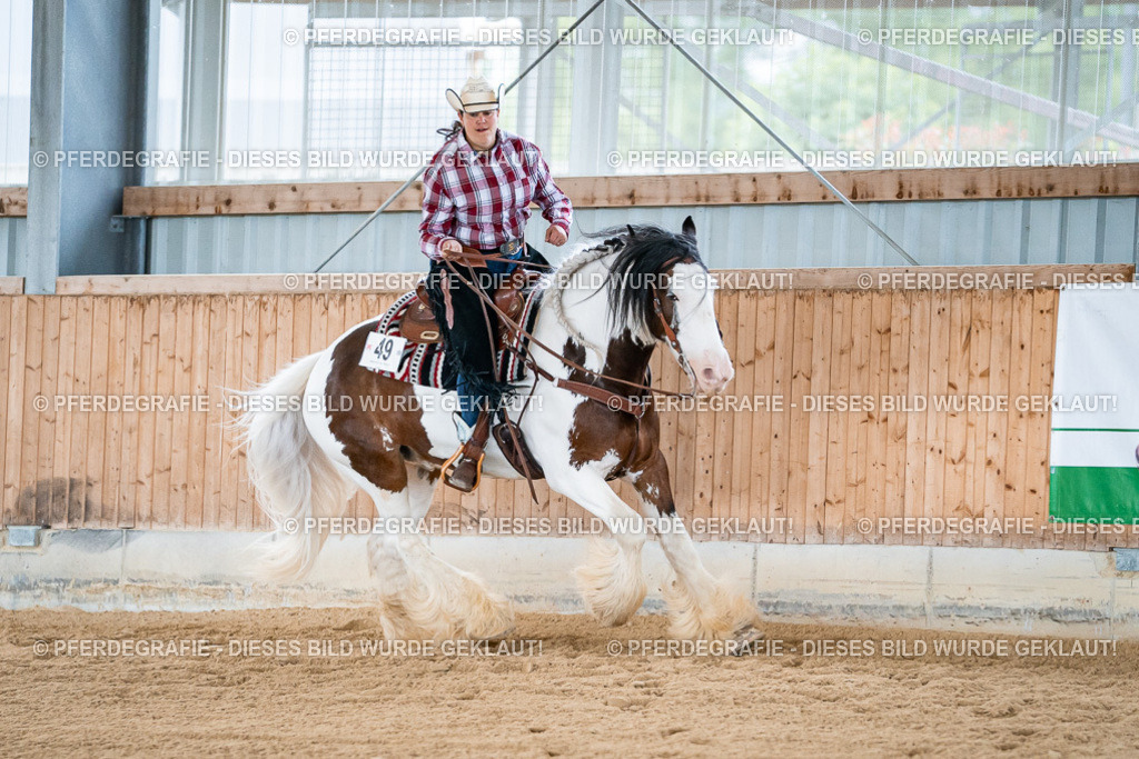 DSC08555 | Pferdegrafie