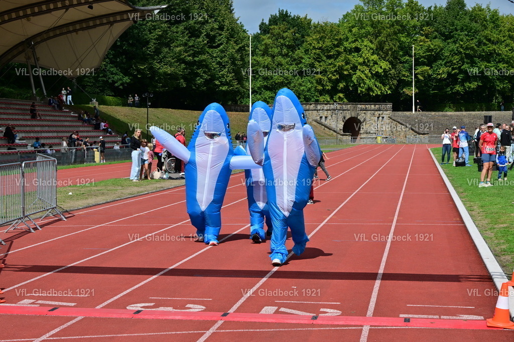 2026-08-23_Sparkassenlauf_Haie_00016 | Die Fotografen - Realisiert mit Pictrs.com