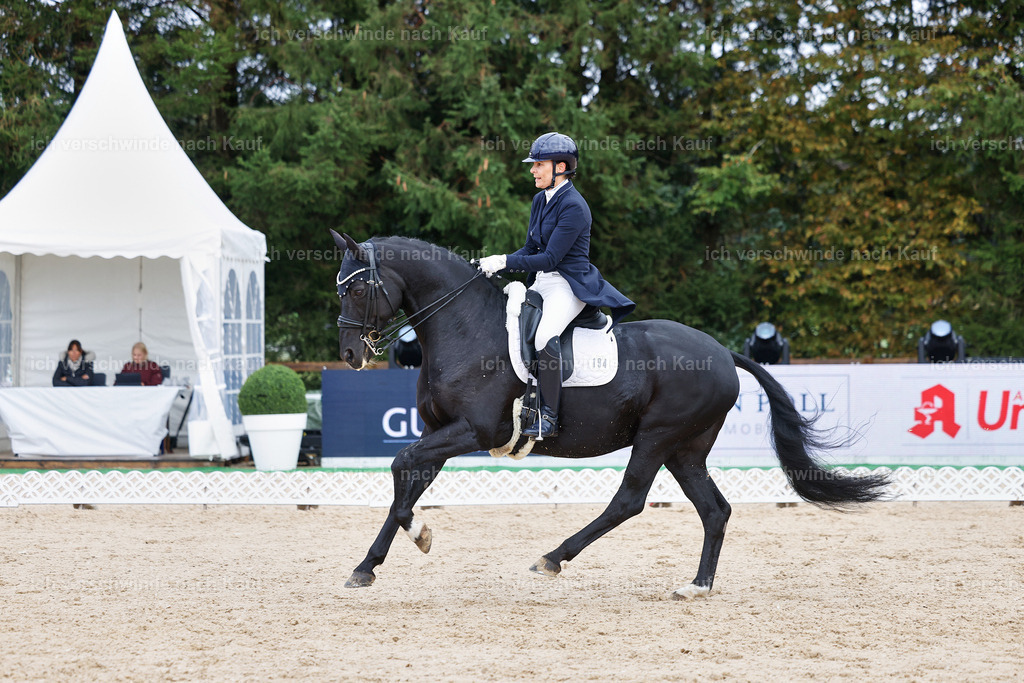07-194-DRESSUR  S___  -StoibPH-5004 | working equitationturnier fotograf videograf stoibphotography marixx film working equitation deutschland reitsport turnierfotografie eventfotografie equestrian events