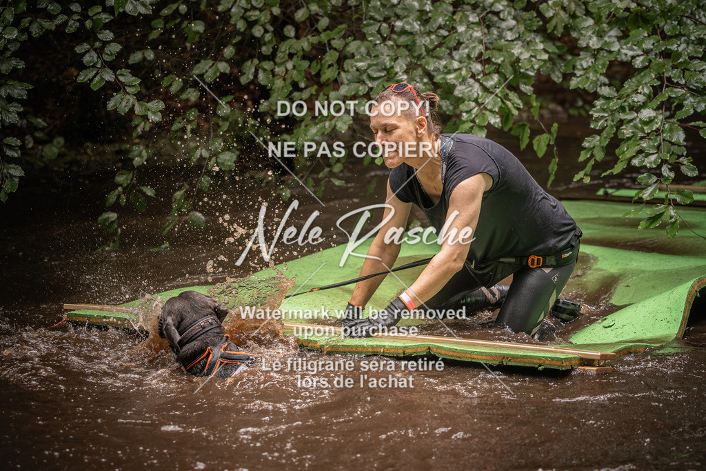 nelerasche_Wingst_Sa1330-1400_359 | nelerasche