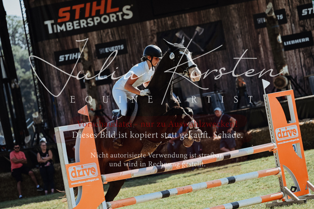 DSC_5896 | Pferde- und Turnierfotografie in Westsachsen. Pferdeportraits, Auftragszeichnungen und intuitive Kunst.