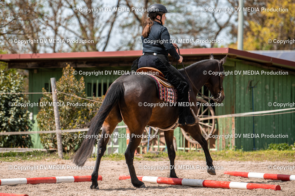 Balingen Tag 4-604 | dv-media-shop - Realisiert mit Pictrs.com