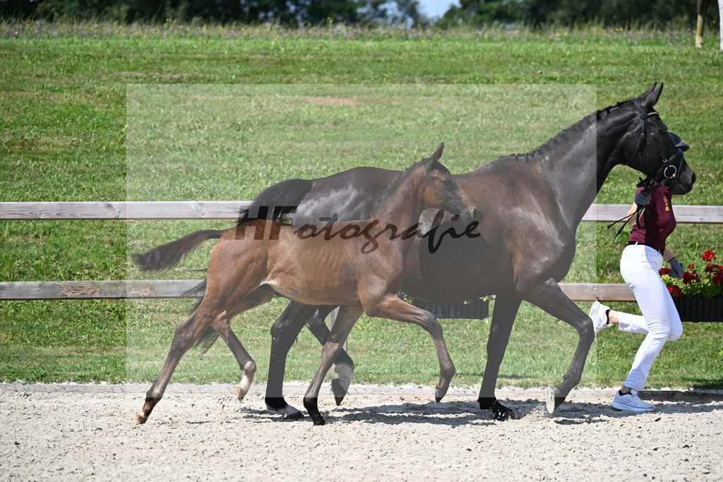 Escaneno x Dante Weltino_HF_Ruth_29240285 | hf-fotografie - Realisiert mit Pictrs.com