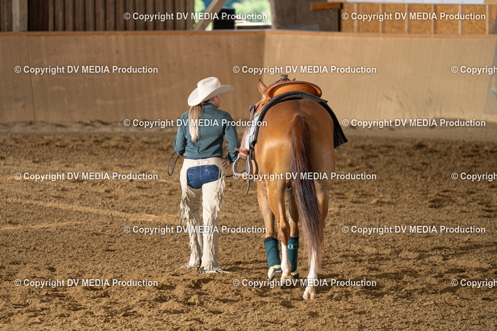 DSC00083 | dv-media-shop - Realisiert mit Pictrs.com