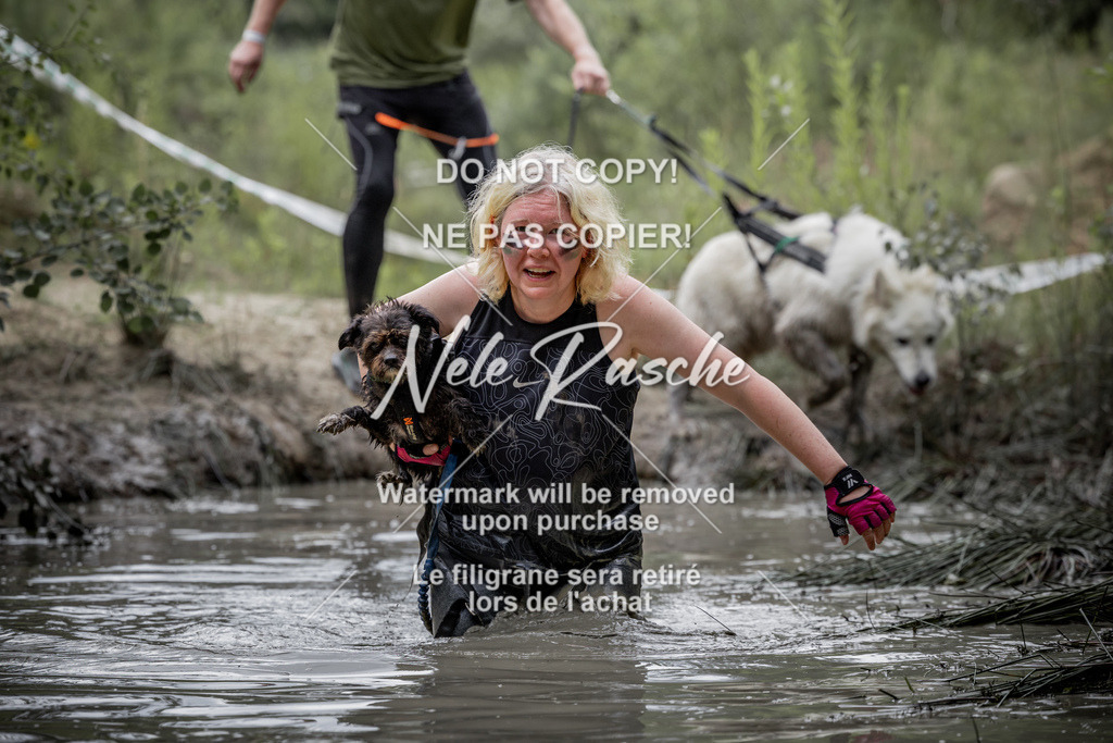 nelerasche_so1100-1145_242 | nelerasche