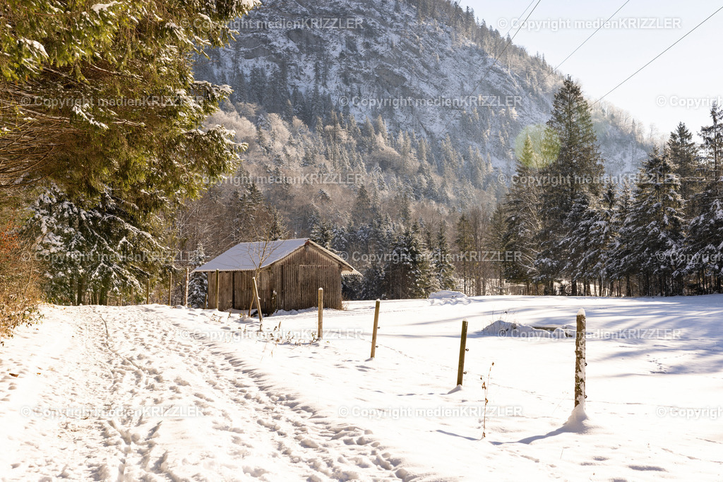 _J3A9638 | medienkrizzler - Realisiert mit Pictrs.com