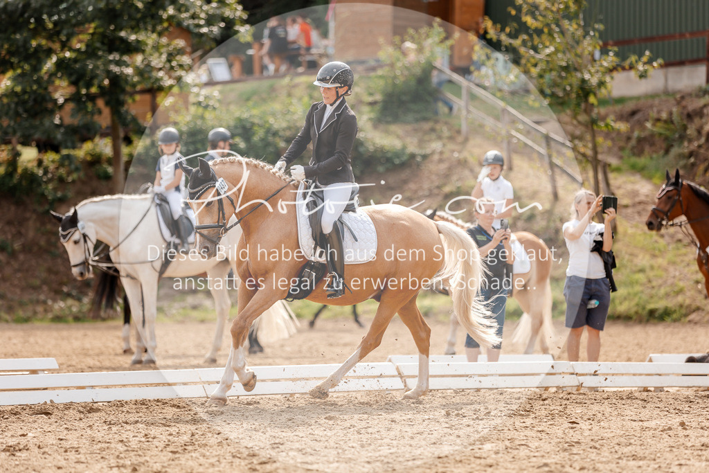 3I6A4407 | Stimmungsvolle Portraits und Reitsportfotografie im Ruhrgebiet und im Münsterland.

Pferdefotografie, Hundefotografie, Tierfotografie, Reportagen, Portraits von Tier und Mensch, Turnierfotografie in Bochum, Recklinghausen, Marl, Haltern am See, Dülmen.. - Realisiert mit Pictrs.com