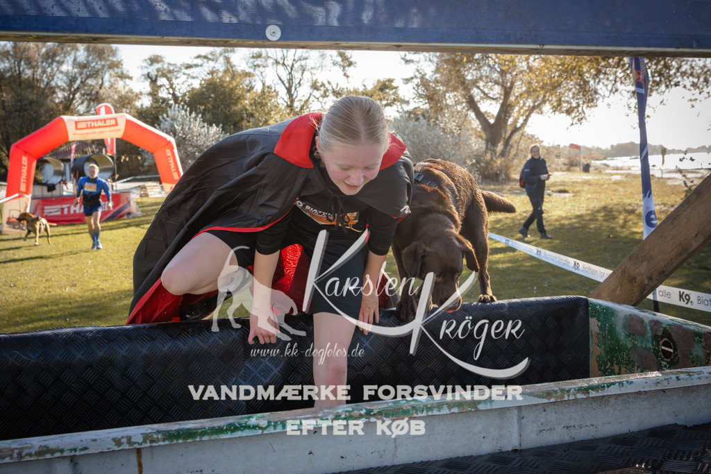 1210_ZZ94788 | kk-dogfotos