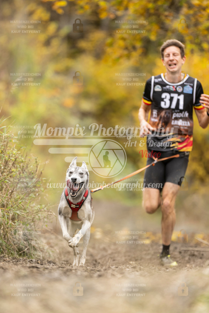 MompixPhotography_ICF_WC_2024_SA_Run_-308 | PayLife