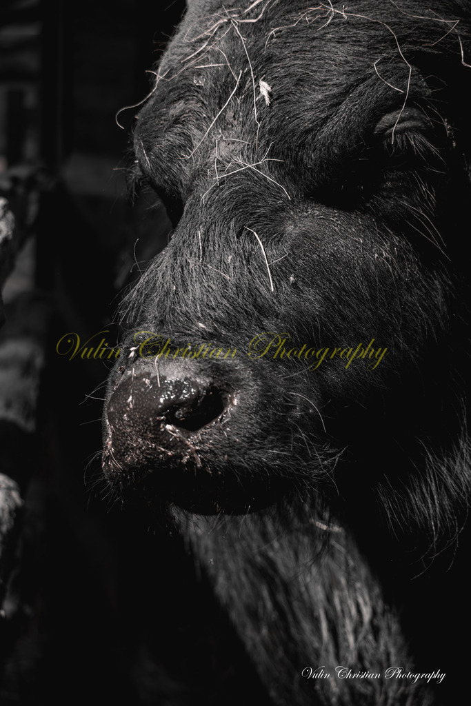 PH 7 | Christian Vulin  - Realisiert mit Pictrs.com