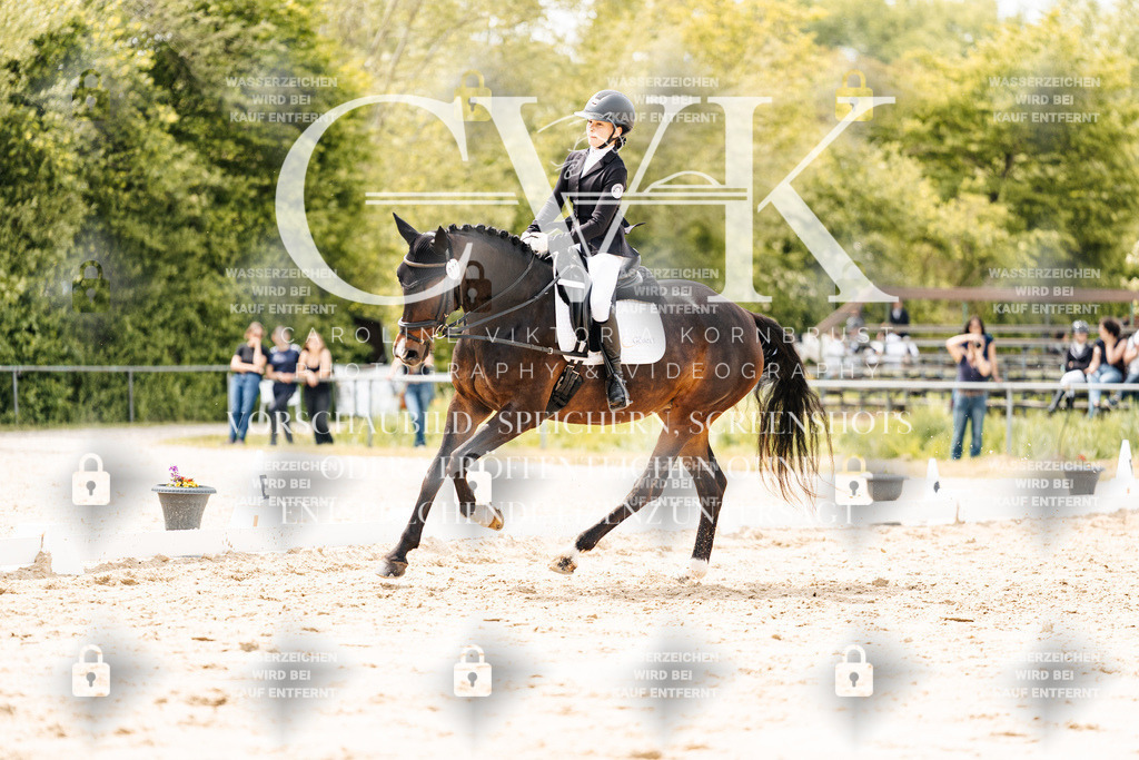 CK902540 | Turnierfotografie Pferdefotografie Trier Rheinland-Pfalz Pferdesport Reitsport Tierfotografie Sportfotografie Pferdevideo Pferdevideografie Equestrianvideography equestrianphotography  - Realisiert mit Pictrs.com