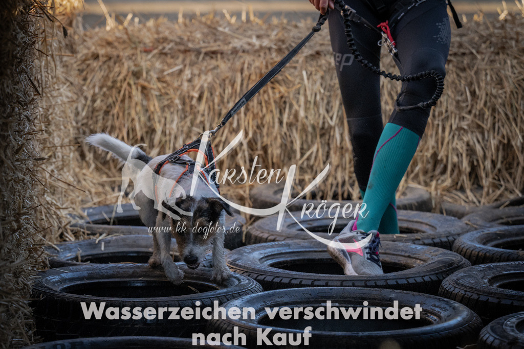 0943_ZZ94200 | kk-dogfotos