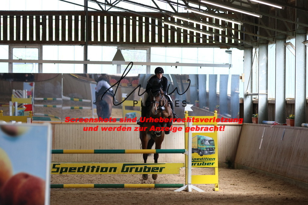 IMG_5600 | lmwpictures - Realisiert mit Pictrs.com