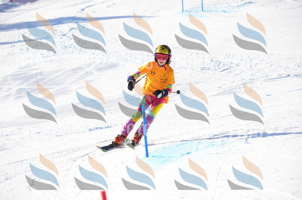 C5950 | holidayphoto