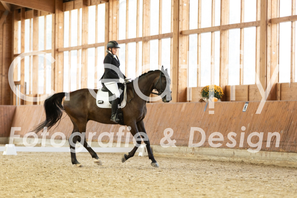 IMG_5985 | Creatify Fotografie