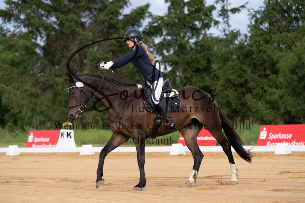 A7V05076 | Pferdefotograf