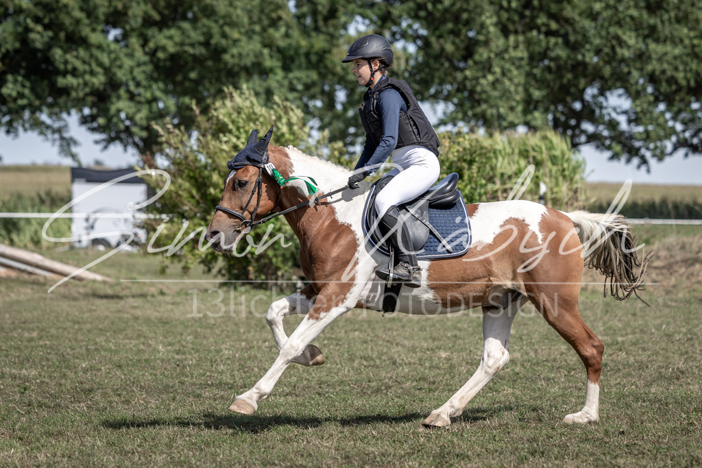 20250907-_3LI0392 | Tierfotografie Pferde, Hunde, Katzen, Haustiere.
Turnierfotografie Reitturniere, Reiten, Springreiten, Dressur in Hanau, dem Main-Kinzig-Kreis und dem Rhein-Main- Gebiet um Frankfurt