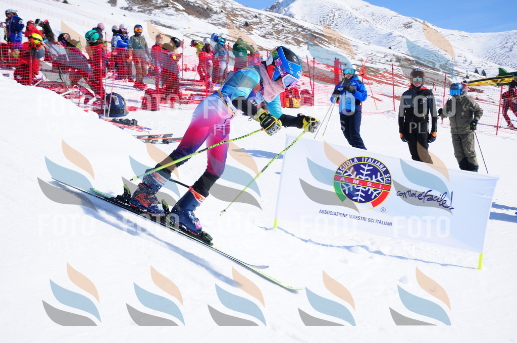 DSC_4483 | holidayphoto