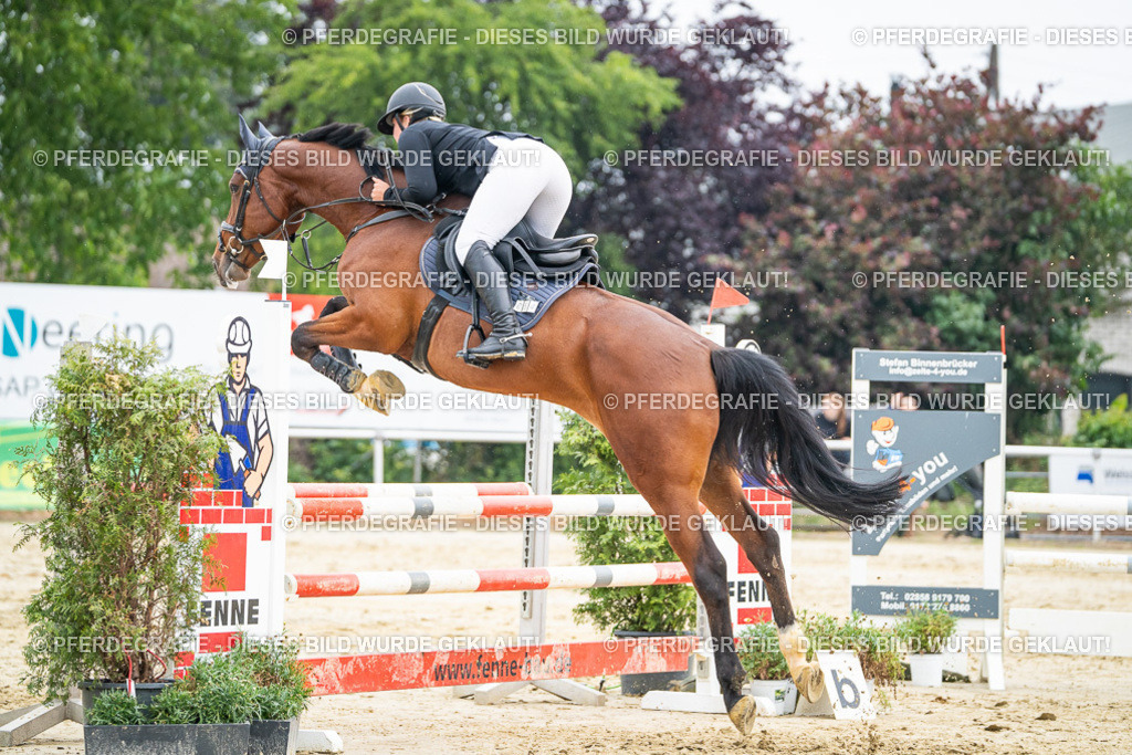 DSC00482 | Pferdegrafie