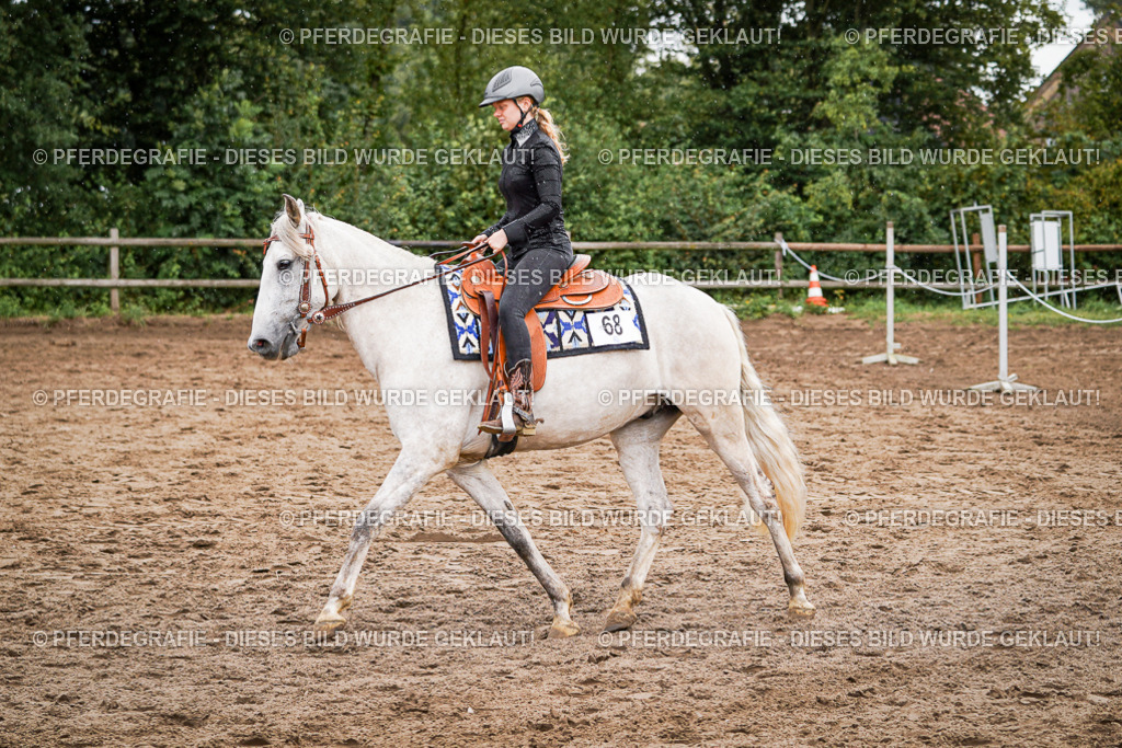 DSC05097 | Pferdegrafie