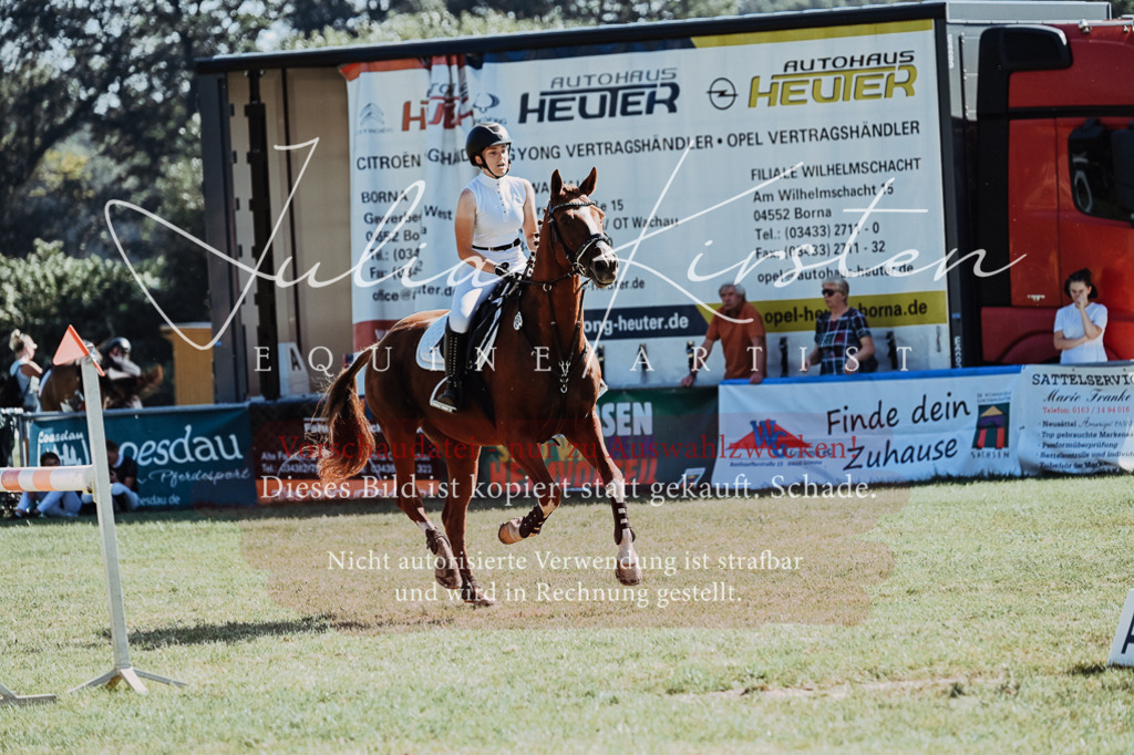 DSC_5659 | Pferde- und Turnierfotografie in Westsachsen. Pferdeportraits, Auftragszeichnungen und intuitive Kunst.