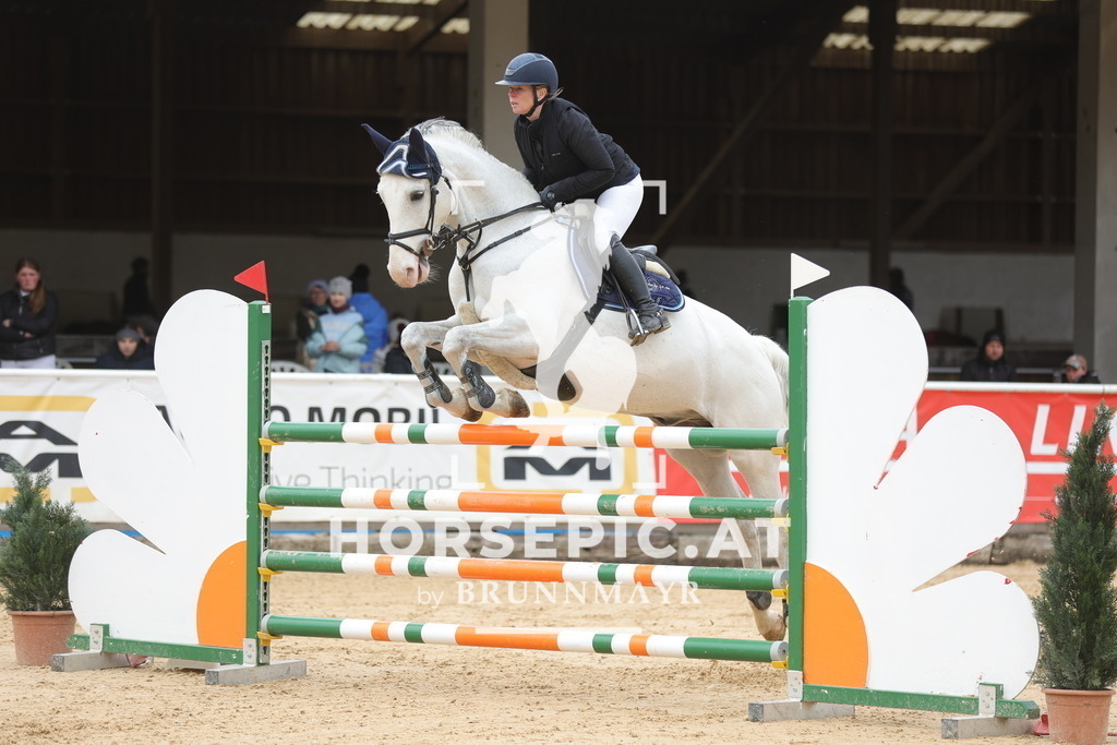 0P6A2924 | Willkommen bei Brunnmayr - Design & Fotografie – Ihrem Spezialisten für Reitturniere und Pferdeveranstaltungen in Oberösterreich, Salzburg und Bayern! Seit über 17 Jahren sind wir leidenschaftlich dabei.