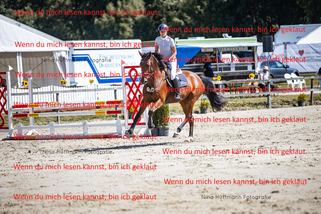 BK1A5221 | Turnierbilder Turnierfotos Nina Hüffmann Turnierfotografie Pferdefotografie Tierzeichnung Haustierzeichnung Pferdezeichnung Hundezeichnung Videograf  - Realisiert mit Pictrs.com