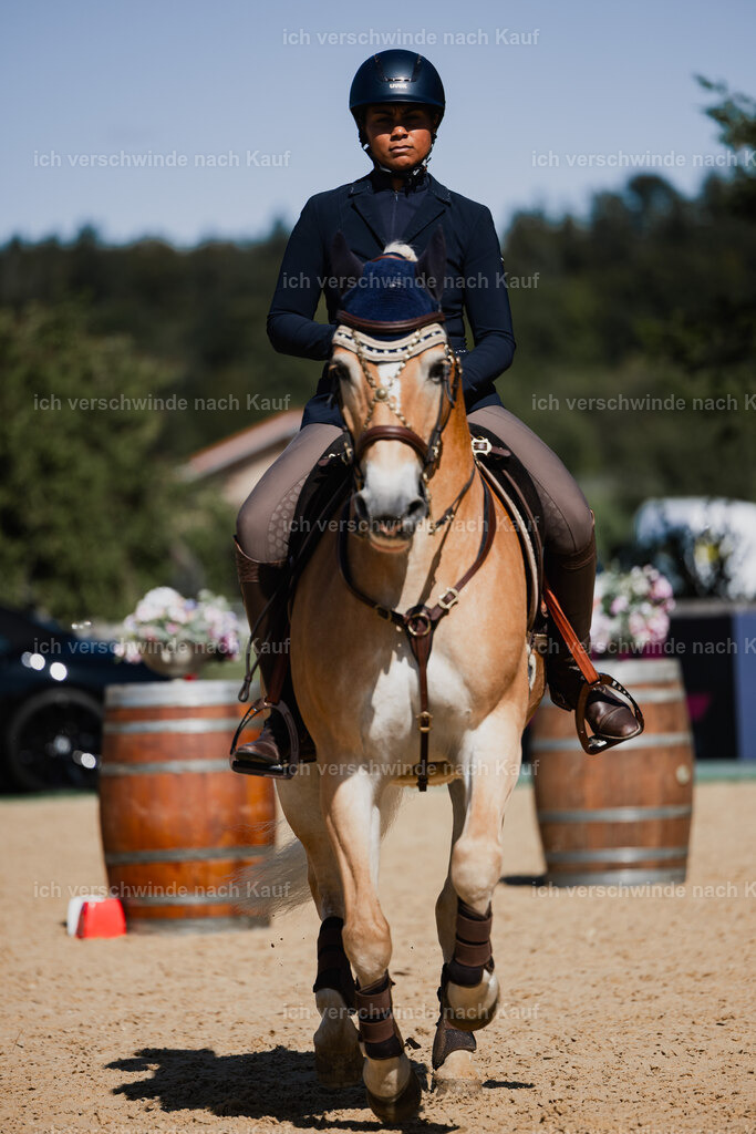 Tanesha5FHC2025-27395 | working equitationturnier fotograf videograf stoibphotography marixx film working equitation deutschland reitsport turnierfotografie eventfotografie equestrian events