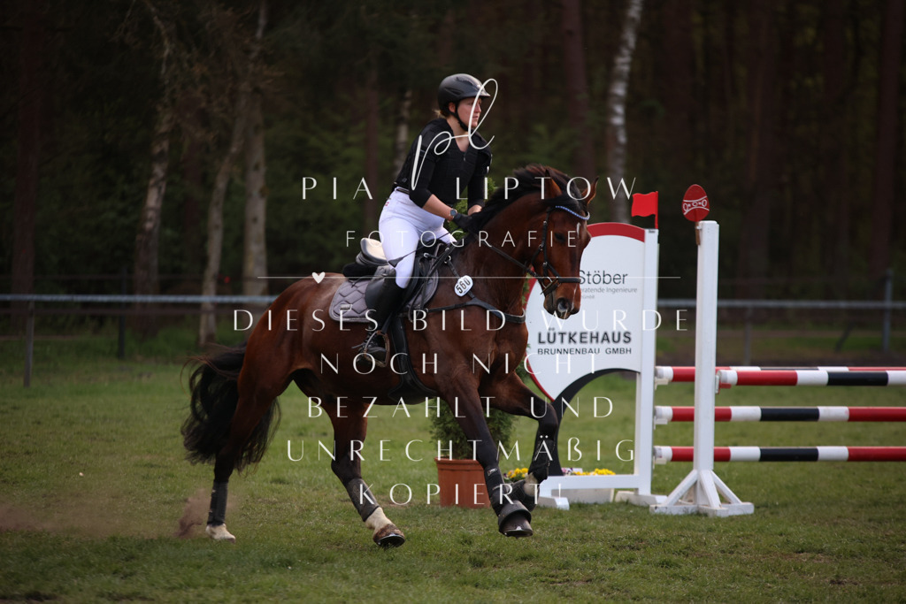 IMGT9456 | pl-fotografie