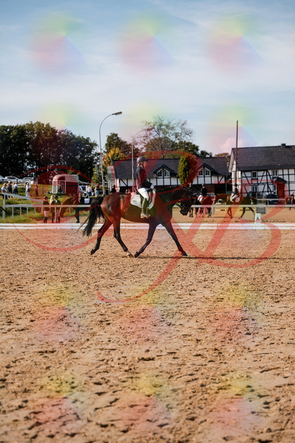 2026_10_03_Siefer-Hof_133510_Z63_94403664 | Professionelle Reitsport-, Turnier- und Eventfotografie von Robert Broda. Galerien mit ausgewählten und bearbeiteten Bildern direkt online ansehen und bestellen.