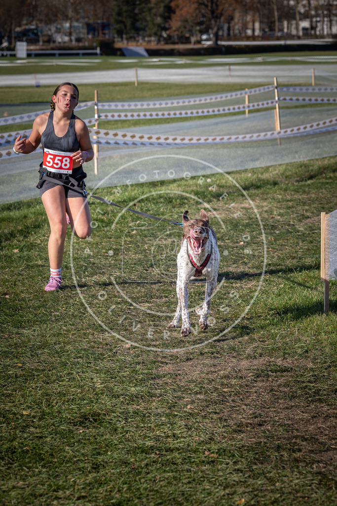CaniXpix_0L8A7774 | Hundefotografie, Tierfotograf, Pfotenfotografie, Fotoshooting Hund, Hunde Portrait, Hundesport, Hundeportraits, Heideshooting, Hunde, Sportfotograf, Hundefotograf, Turnierhundsport, THS,  - Realisiert mit Pictrs.com