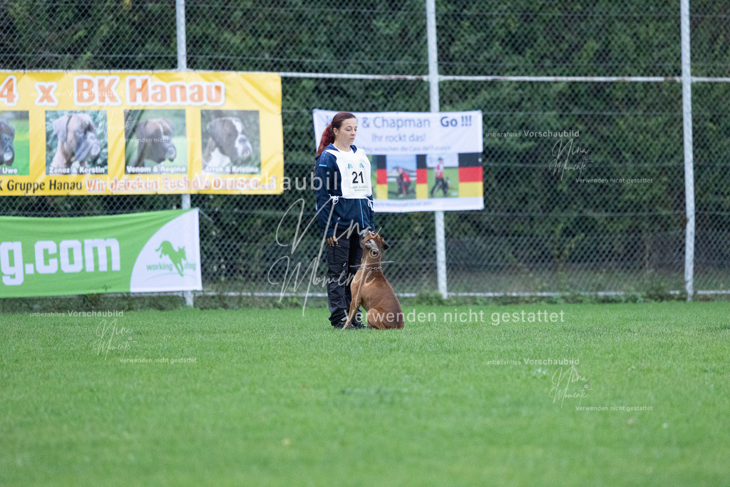 _16A4653 | Einzigartige Fotos von Hunden & Menschen –Actionfotos, Portraits, Vereinsaufnahmen & Paarshootings – authentisch, lebendig & mit Herz.