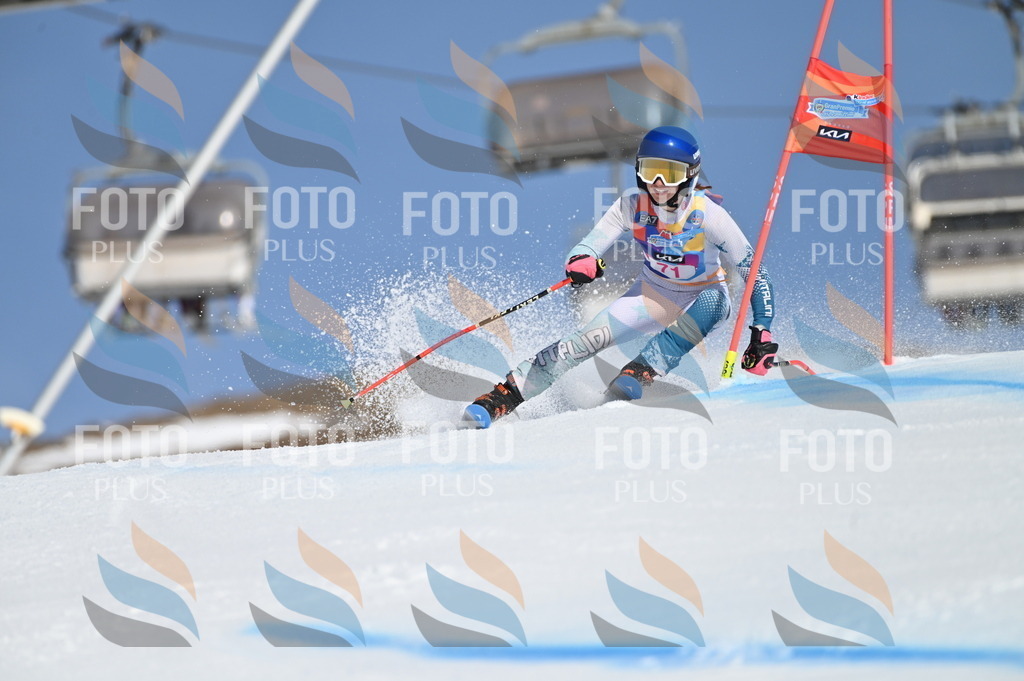 BGV_8916 | holidayphoto