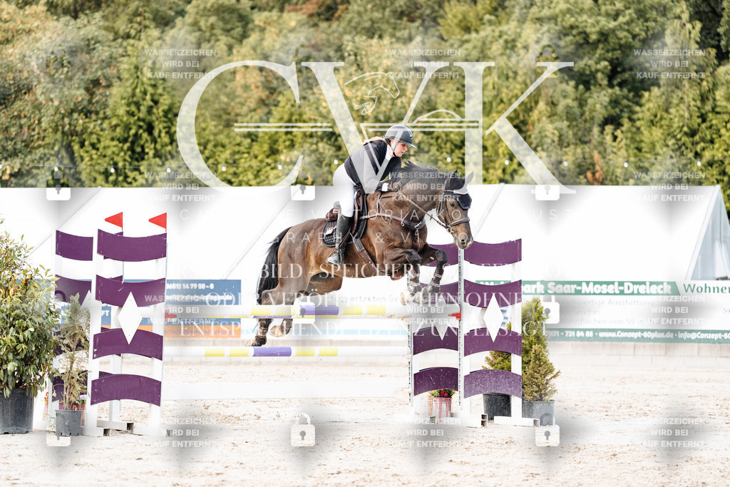 CK903708 | Turnierfotografie Pferdefotografie Trier Rheinland-Pfalz Pferdesport Reitsport Tierfotografie Sportfotografie Pferdevideo Pferdevideografie Equestrianvideography equestrianphotography  - Realisiert mit Pictrs.com