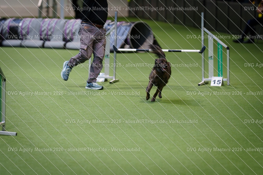 allesWIRTHgut_Tierfotografie-DVG_Agility_Masters_2026-08_26-7R500429 | Professionelle Tierfotografie in Mönchengladbach von Daniel Wirth (allesWIRTHgut). Liebevolle & natürliche Bilder von Hunden & Katzen für unvergessliche Erinnerungen.
