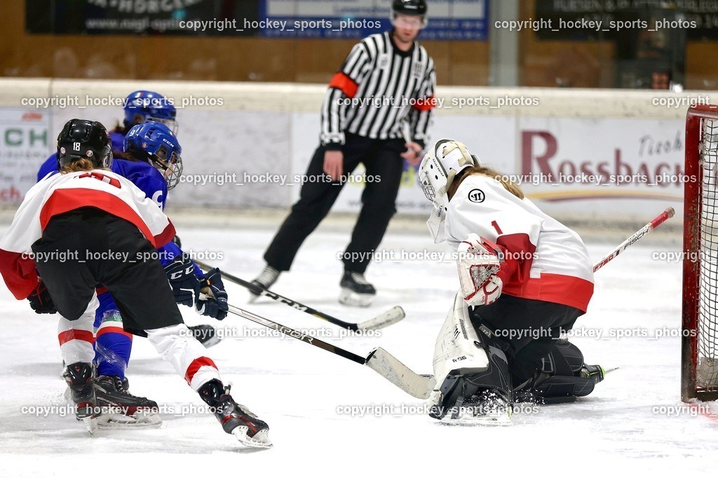 MOWE3785 | hockey sports photos, Pressefotos, Sportfotos, hockey247, win 2day icehockeyleague, Handball Austria, Floorball Austria, ÖVV, Kärntner Eishockeyverband, KEHV, KFV, Kärntner Fussballverband, Österreichischer Volleyballverband, Alps Hockey League, ÖFB, 