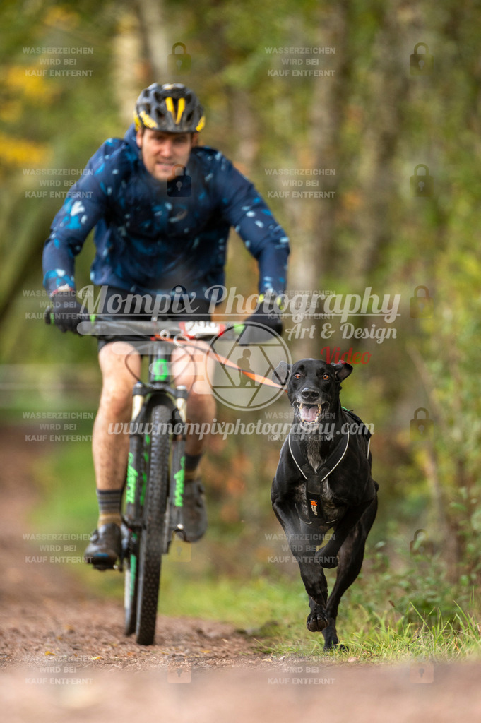 TSB_2023_E4_Bike-16 | PayLife