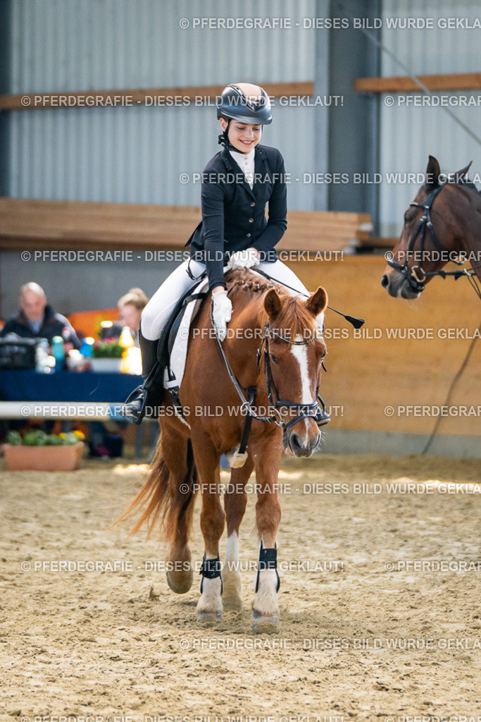 DSC01700 | Pferdegrafie