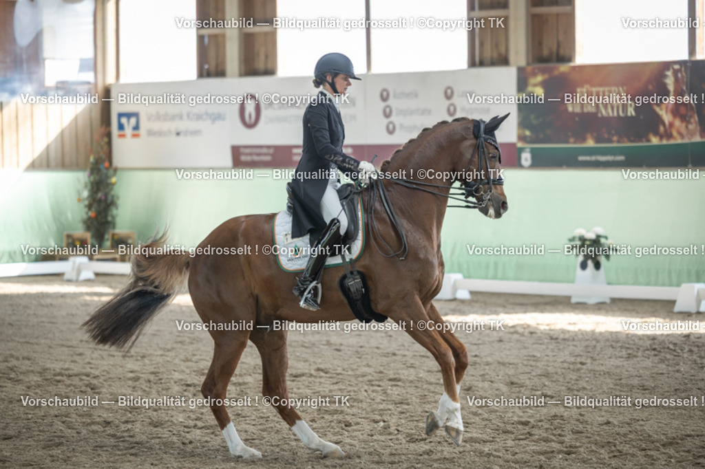 _D5A0077 | Emotionale Pferde- & People-Fotografie rund um Heidelberg, Leimen & Umgebung. Natürliche Fotos von Pferd, Mensch & Familie. Jetzt Termin sichern!