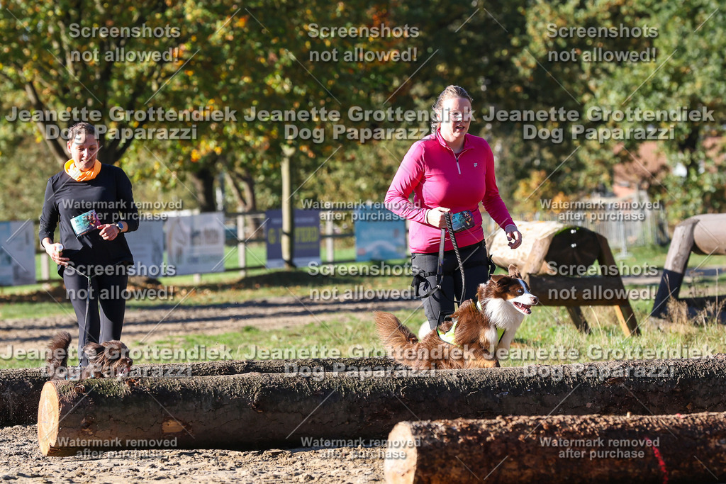 Dog Paparazzi - Strongdog 10-25-1743 | Dog Paparazzi Jeanette Grottendiek Fotografie & Videografie - Realisiert mit Pictrs.com