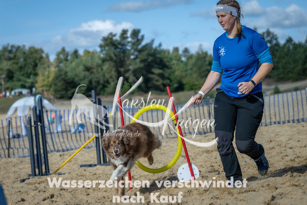 1213_ZZ92714-2 | kk-dogfotos