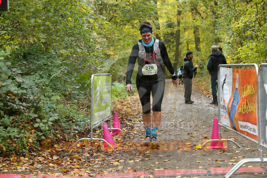 251026_1351_EX1_4020 | Sportfotografie im Rhein-Sieg Kreis, Köln, Bonn, NRW, Rheinland Pfalz, Hessen, etc. Unser Tätigkeitsfeld umfasst den Laufsport vom Volkslauf über den Marathon, Duathlon, Triathon bis zum Ultralauf wie Kölnpfad Ultra oder Schindertrail.