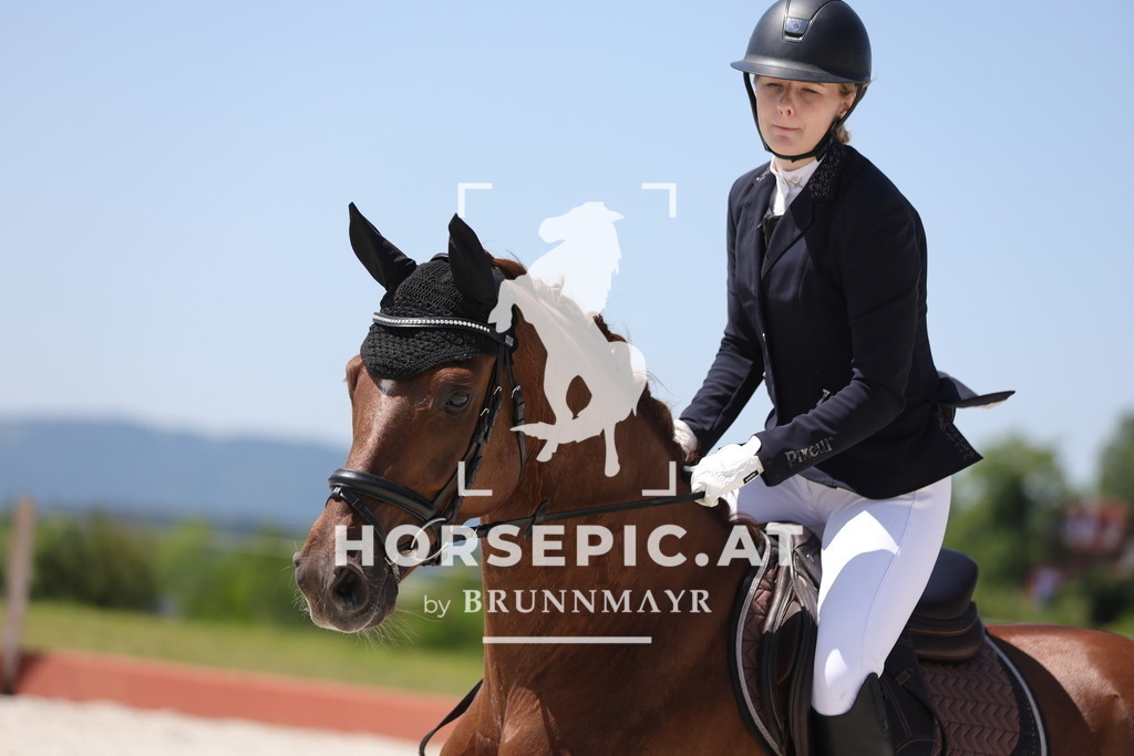 0P6A8675 | Willkommen bei Brunnmayr - Design & Fotografie – Ihrem Spezialisten für Reitturniere und Pferdeveranstaltungen in Oberösterreich, Salzburg und Bayern! Seit über 17 Jahren sind wir leidenschaftlich dabei.