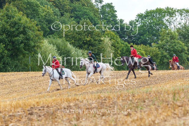 Jagd Knoop 26_MarinaHewigMCH02252 | Fotografie, FotoArt, PferdesportArt, Pferdesportfotografie, Landschaftsfotografie, Reisefotografie, Reise, Pferde - Realisiert mit Pictrs.com