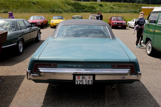 Calag_Oldtimer2025-35 | Ich fotografiere Hundeausstellungen, Sportanlässe, Zuchtstätten, Hundezucht, Hundeportrait, Lagotto - Realisiert mit Pictrs.com