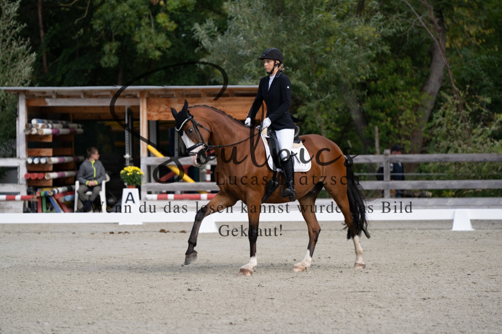 A7V06818 | Pferdefotograf