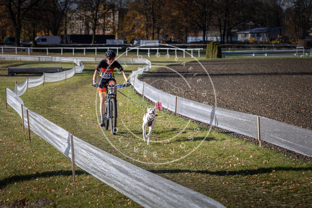 CaniXpix_DV3A7342 | Hundefotografie, Tierfotograf, Pfotenfotografie, Fotoshooting Hund, Hunde Portrait, Hundesport, Hundeportraits, Heideshooting, Hunde, Sportfotograf, Hundefotograf, Turnierhundsport, THS,  - Realisiert mit Pictrs.com