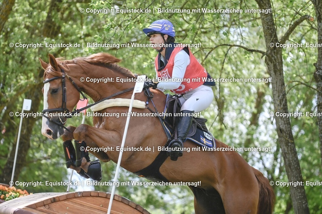 20250517_CCI2_Gelände_1757 | Foto: Thomas Hartig